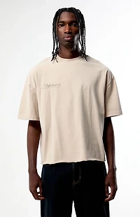 Pacsun Ecliptica Cropped Boxy T-Shirt