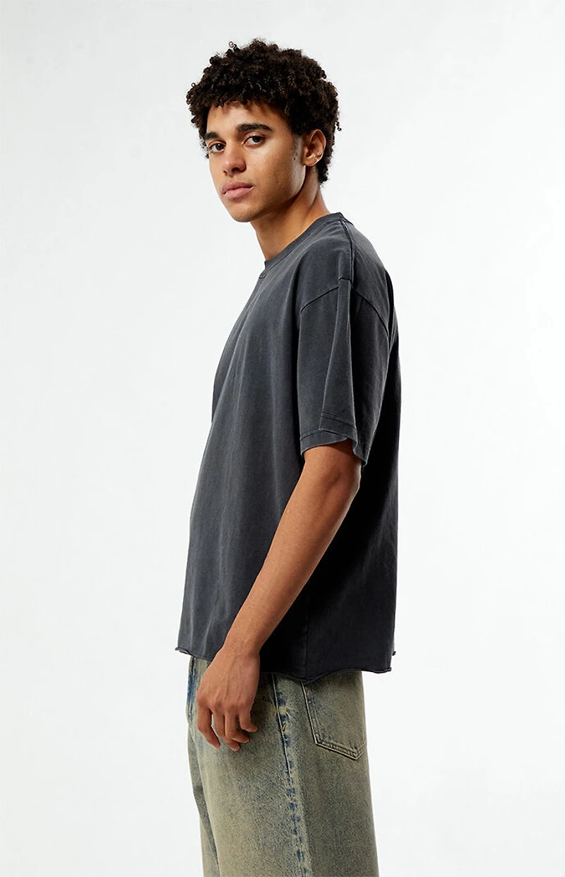 Pacsun Washed Black Premium Cropped T-Shirt