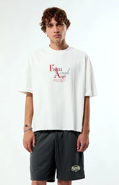 Pacsun Fallen Angel Cropped Boxy T-Shirt