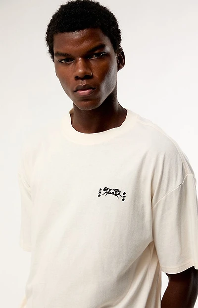 Pacsun Rodeo Embroidery T-Shirt
