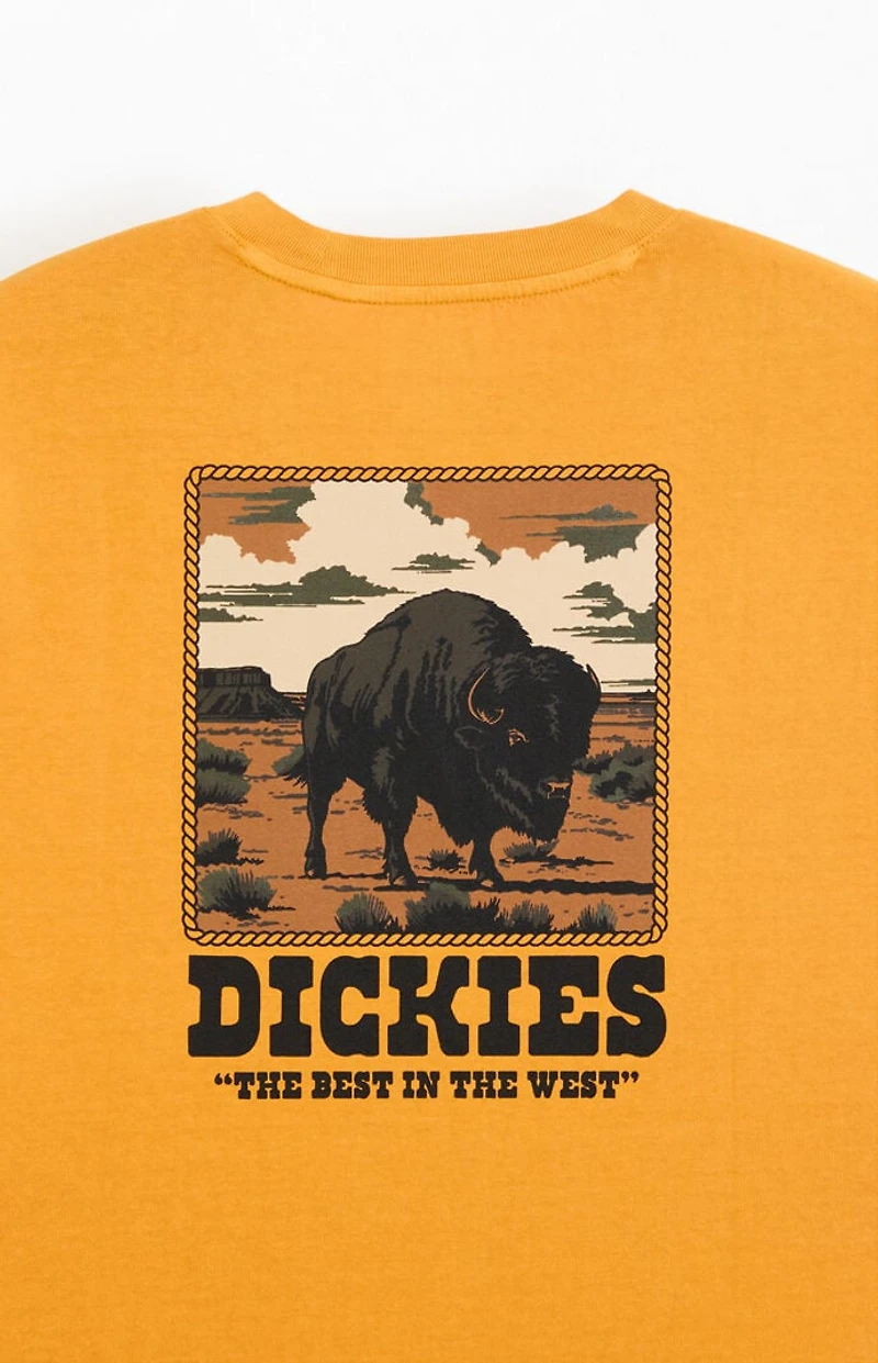 Dickies Darrtown T-Shirt