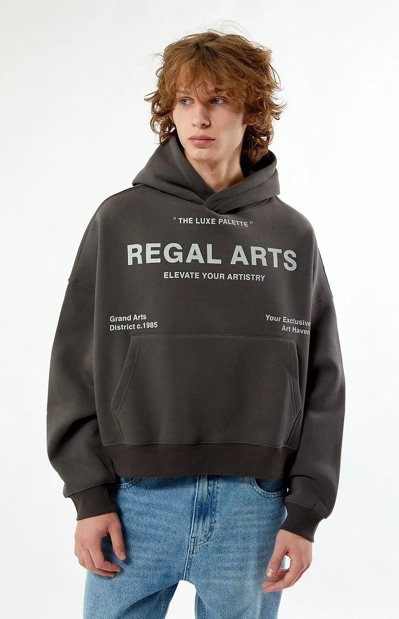 Pacsun Regal Arts Cropped Hoodie
