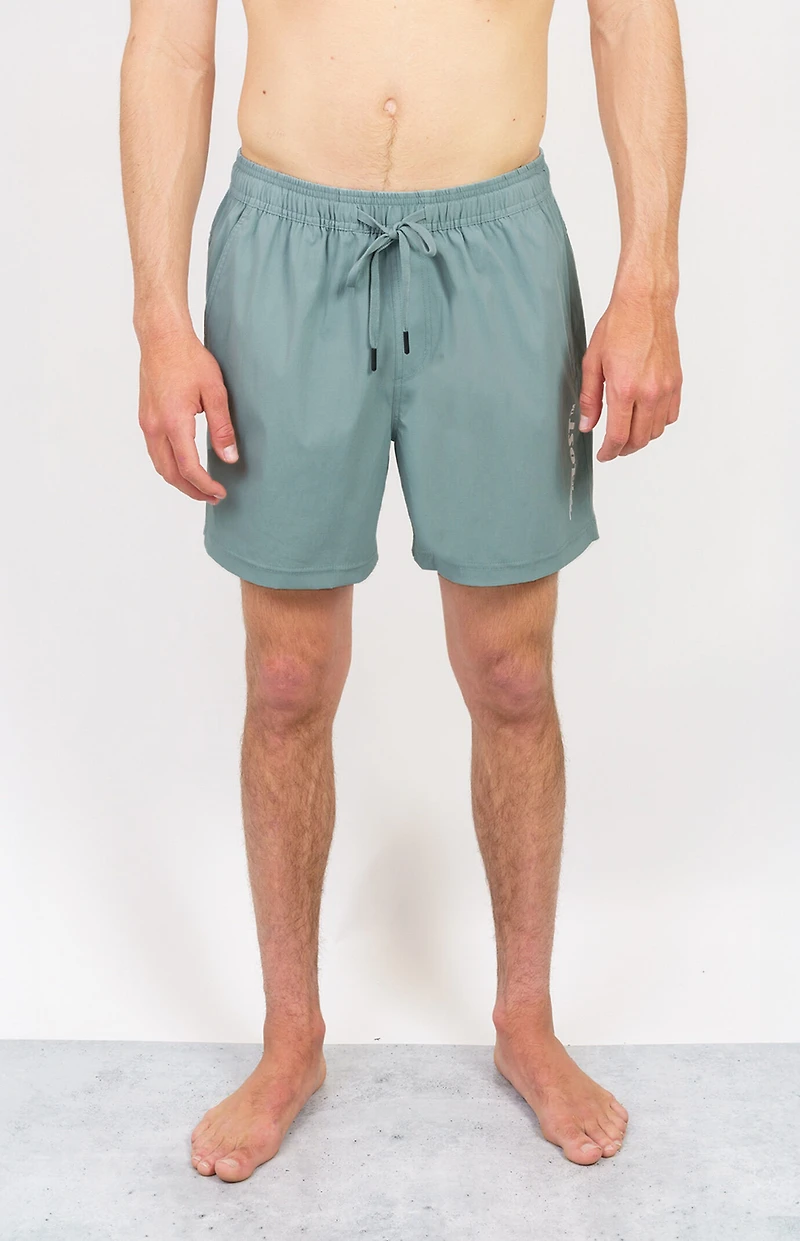 LOST Wings Stormy Blue Swim Trunks