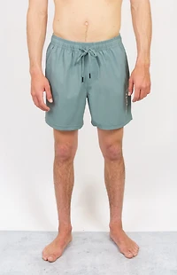 LOST Wings Stormy Blue Swim Trunks