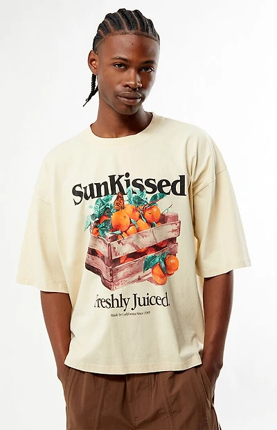 Pacsun Sunkissed Cropped Boxy T-Shirt