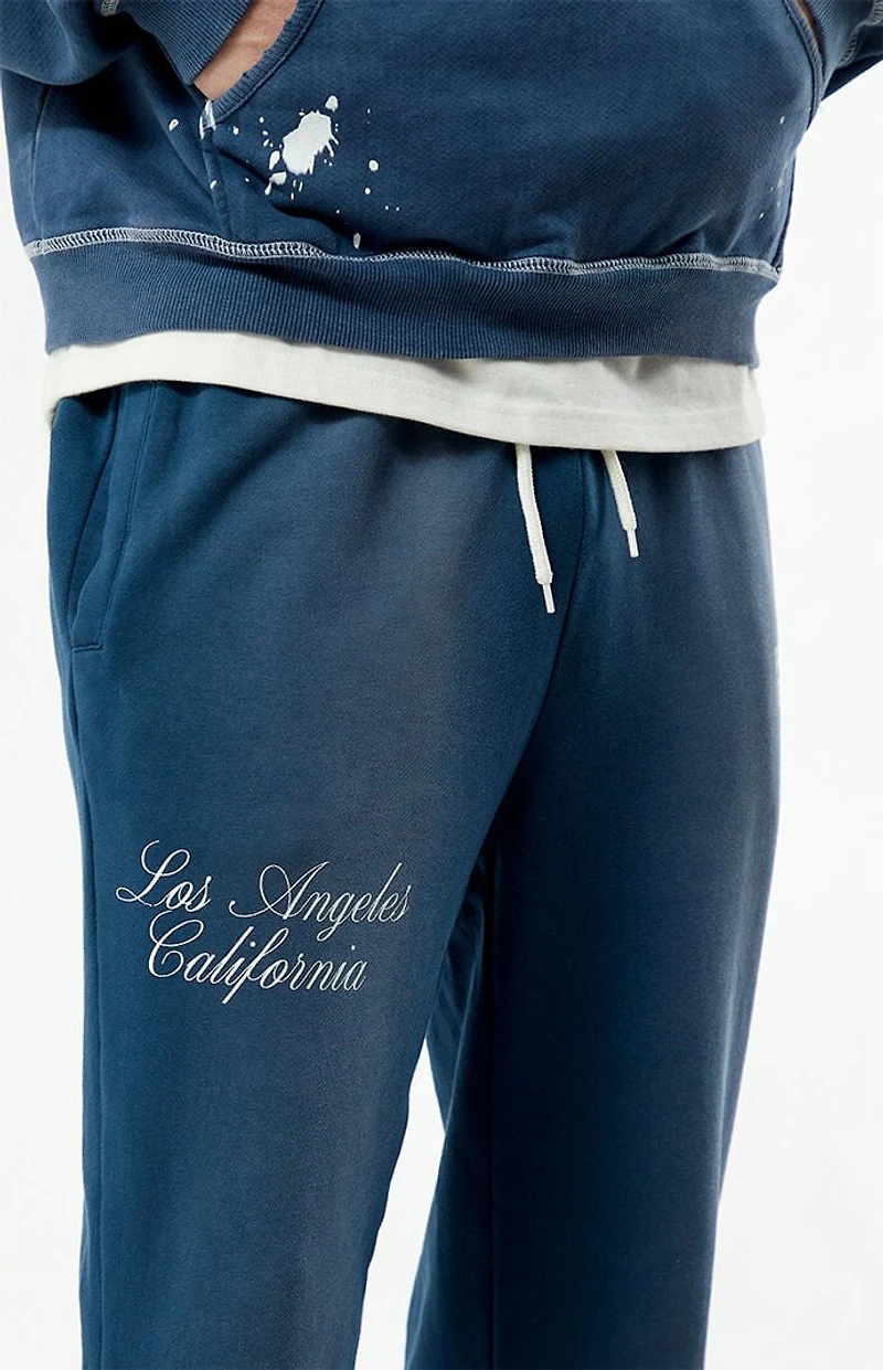 Pacsun Terrain Baggy Sweatpants