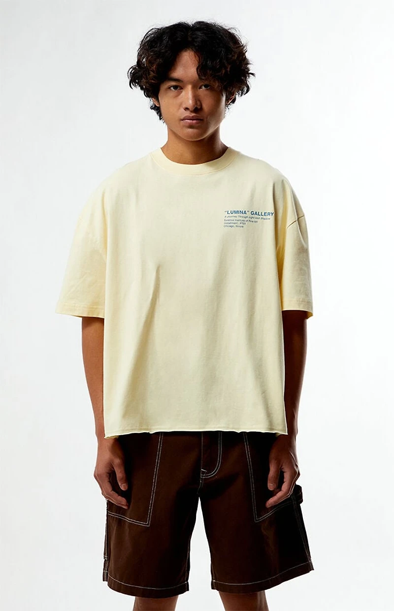 Pacsun Lumina Gallery Cropped Boxy T-Shirt