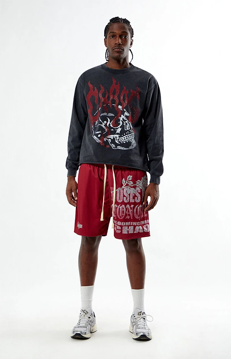 Pacsun Chaos Cropped Long Sleeve T-Shirt