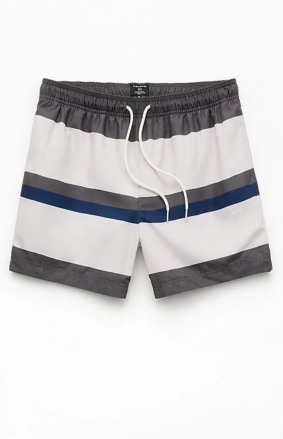 Pacsun Pierre Striped Eco 4.5" Swim Trunks