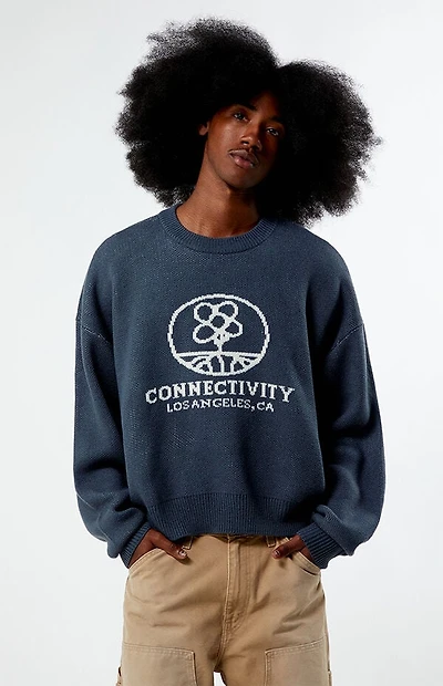 Pacsun Connectivity Cropped Sweater