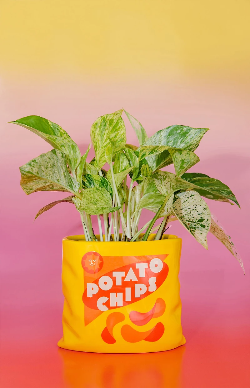 ban.do Potato Chips Ceramic Vase