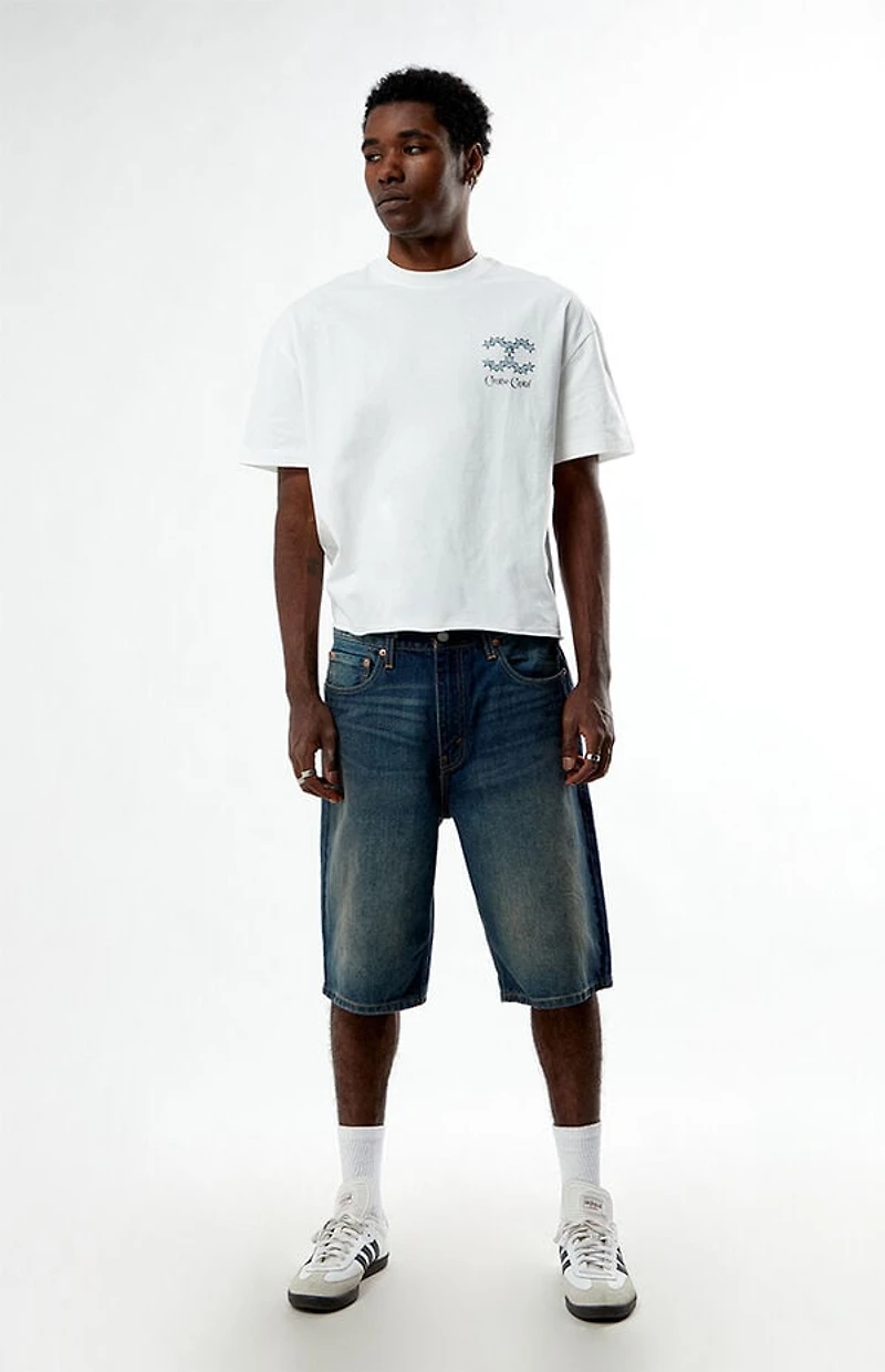 Pacsun Creative Capital Cropped Boxy T-Shirt