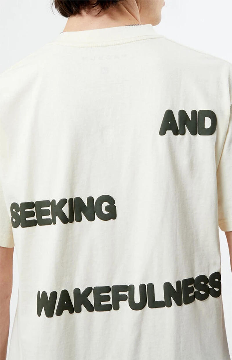 Pacsun Lost Dreams Puff Oversized T-Shirt