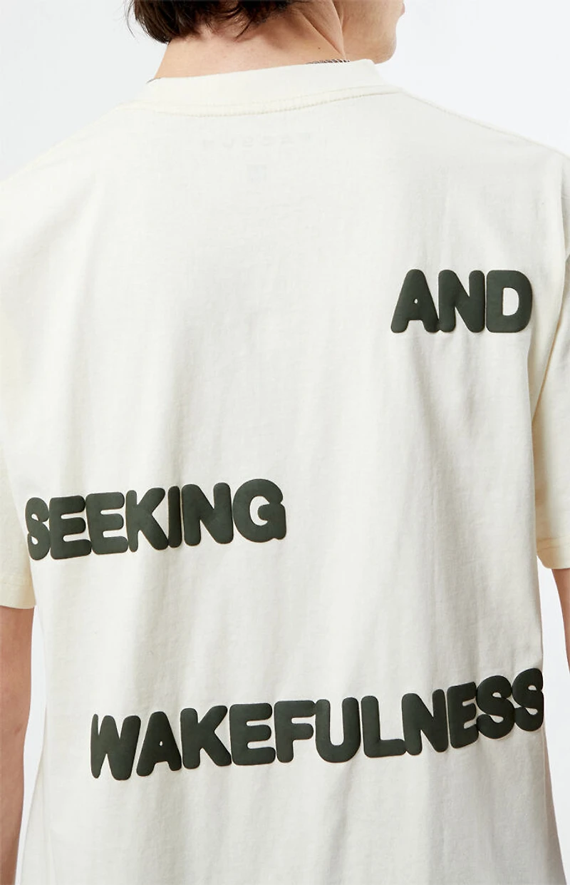 Pacsun Lost Dreams Puff Oversized T-Shirt