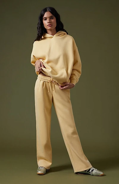 Pacsun Ultra Soft Fleece Core Vintage Wash Baggy Sweatpants