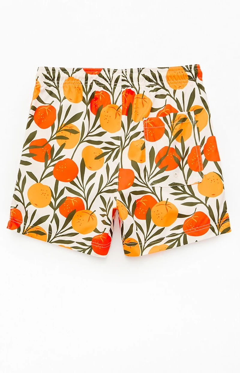 Pacsun Oranges Eco 4.5" Swim Trunks
