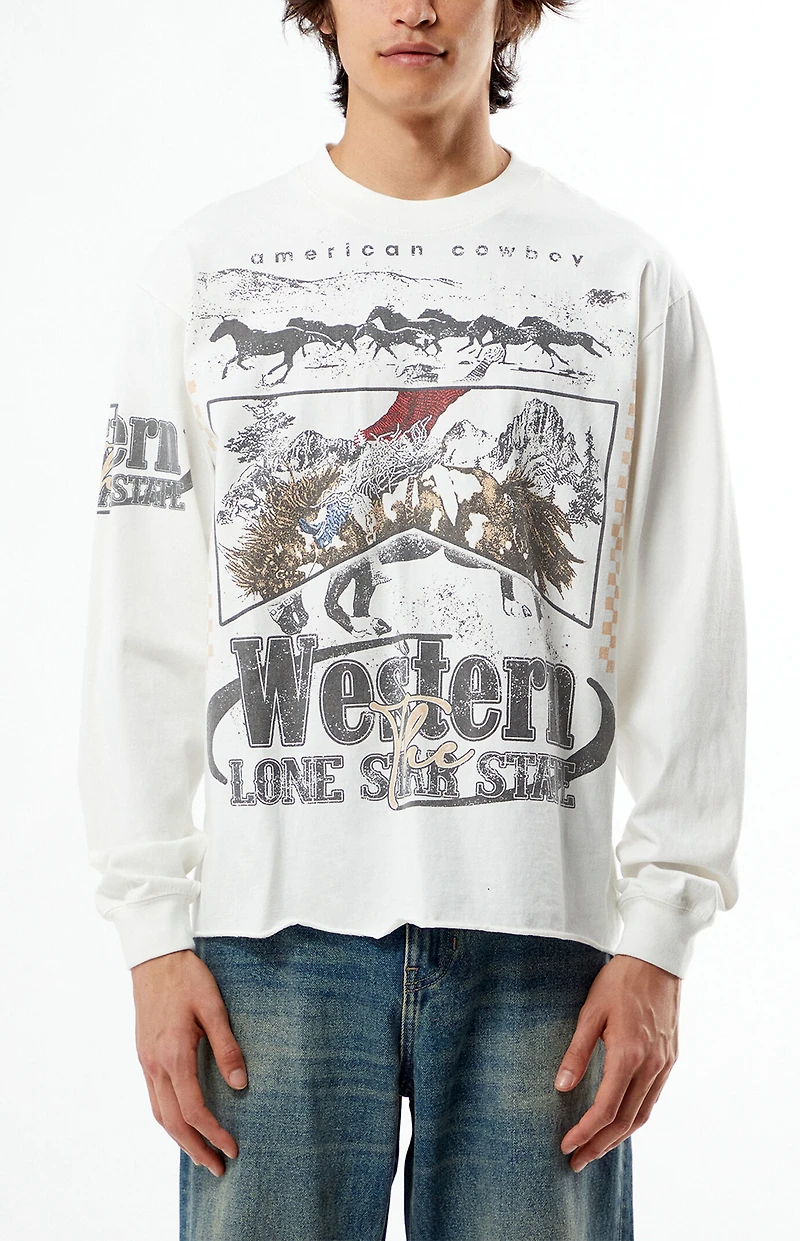 Pacsun Western Cropped Long Sleeve T-Shirt
