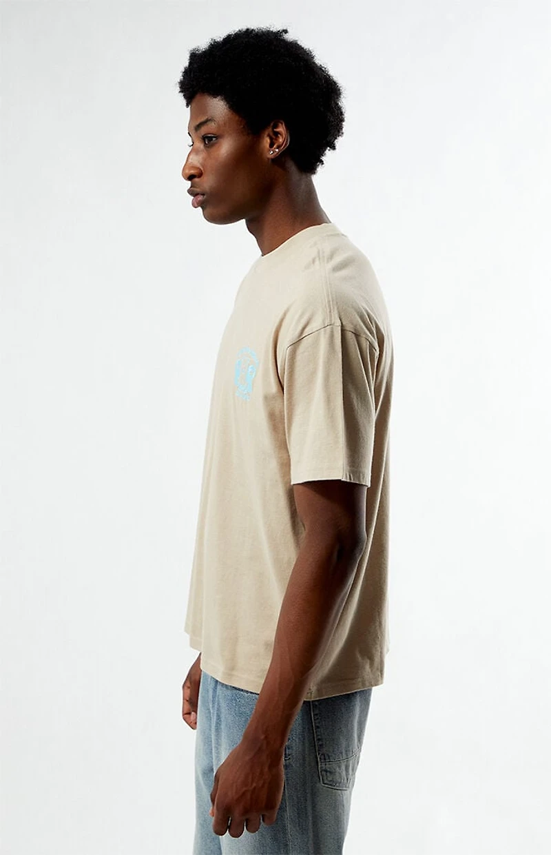 Pacsun Balance T-Shirt