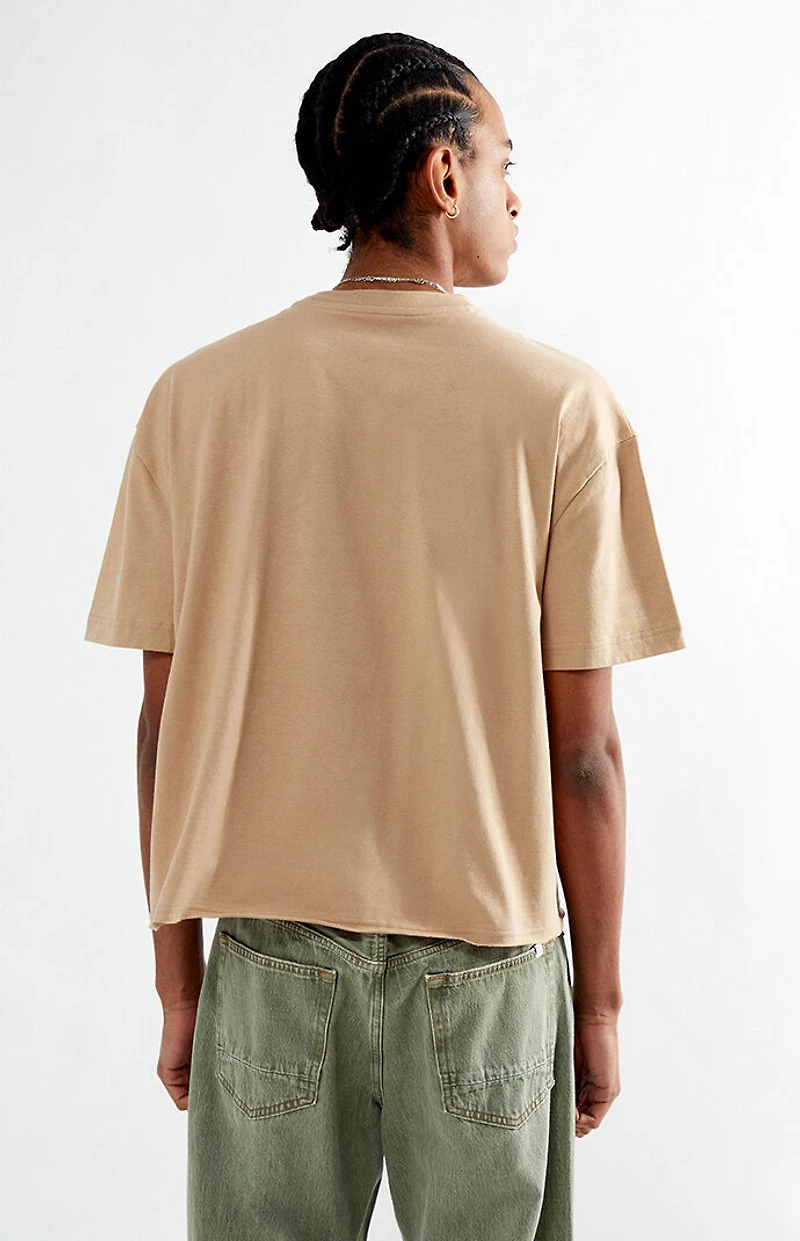 Pacsun Noise Cropped T-Shirt