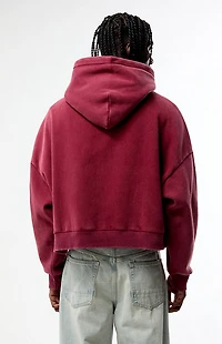 Pacsun Ghost Washed Cropped Full Zip Hoodie