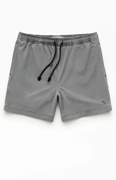 Pacsun Gray Sunny 5.5" Swim Trunks