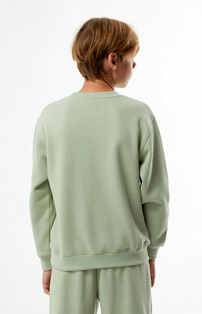 Pacsun Kids Sage Adventure Crew Neck Sweatshirt