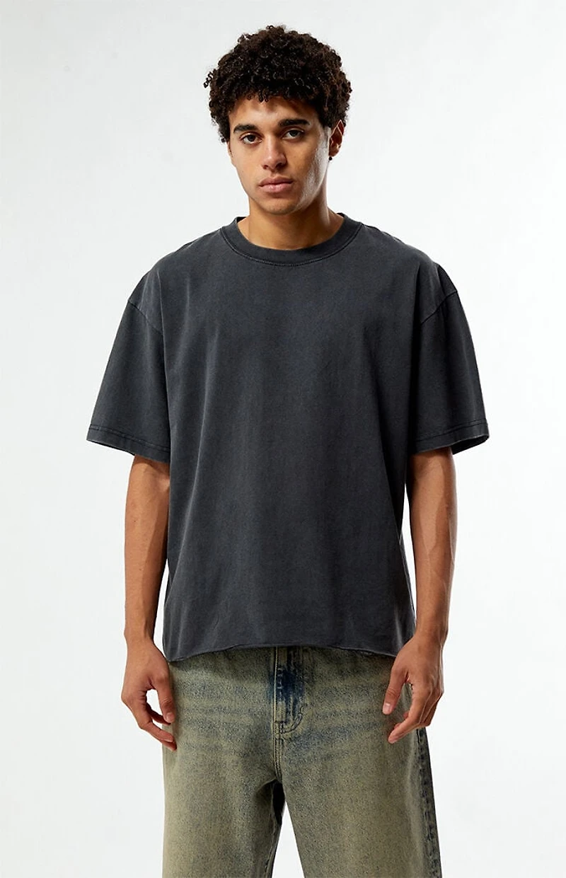 Pacsun Washed Black Premium Cropped T-Shirt