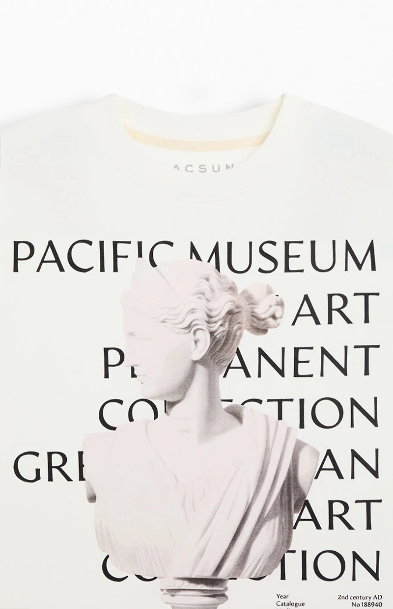 Pacsun Pacific Museum Cropped Boxy T-Shirt