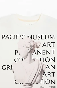 Pacsun Pacific Museum Cropped Boxy T-Shirt