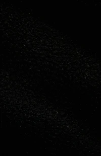 PAC 1980 Active Ski Fleece Ripper Sherpa Jacket