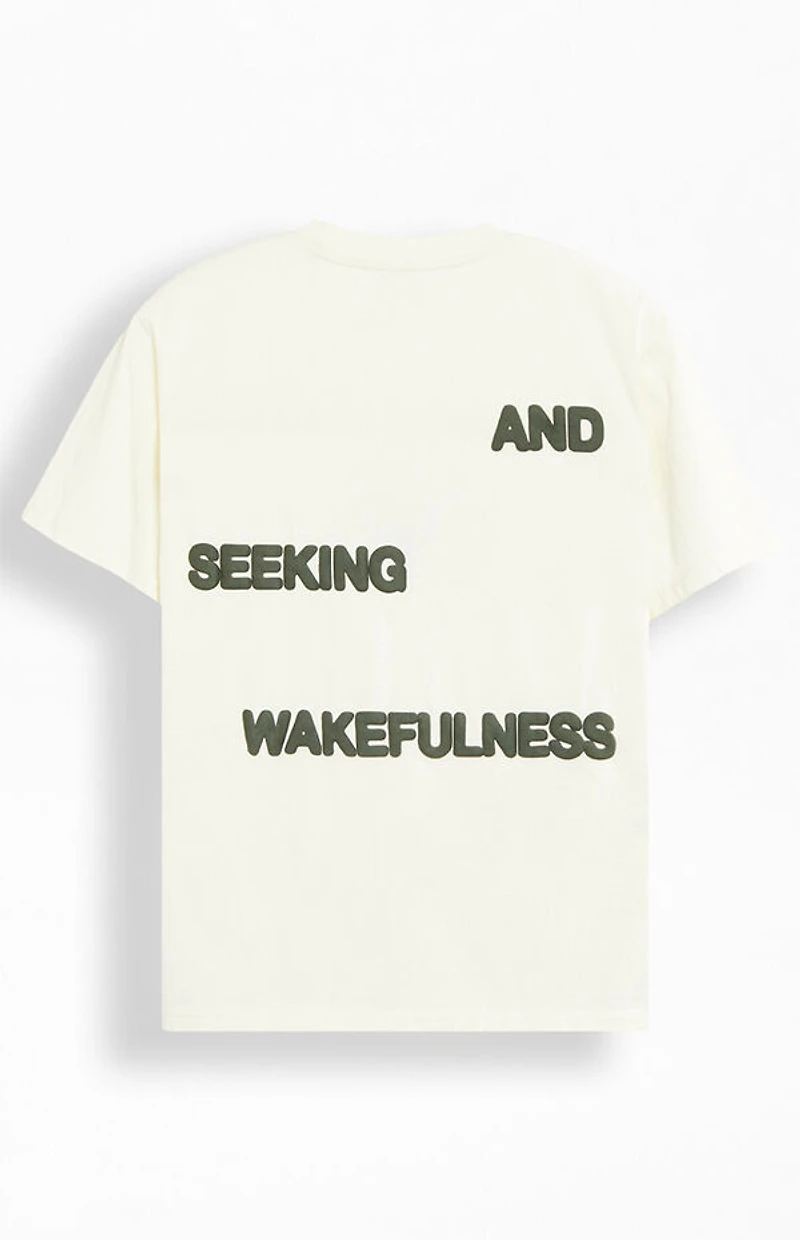 Pacsun Lost Dreams Puff Oversized T-Shirt