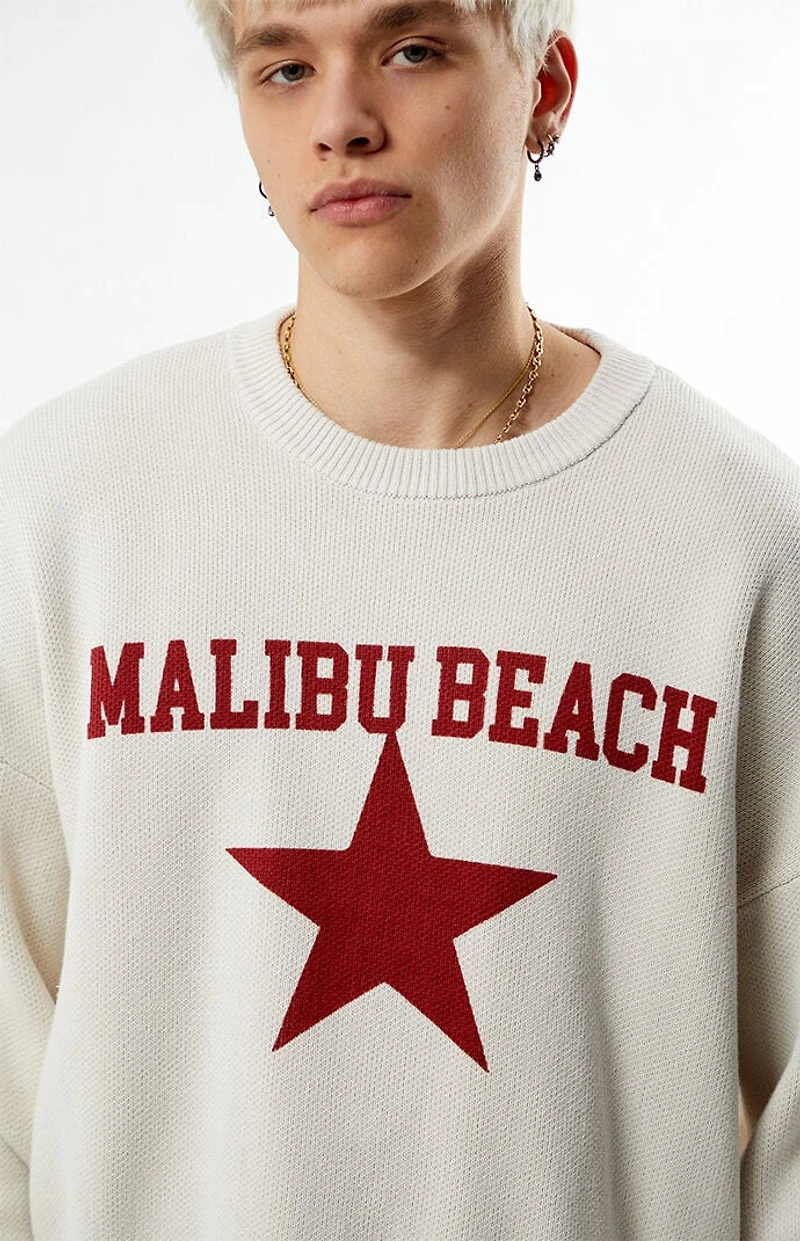 Pacsun Malibu Beach Sweater