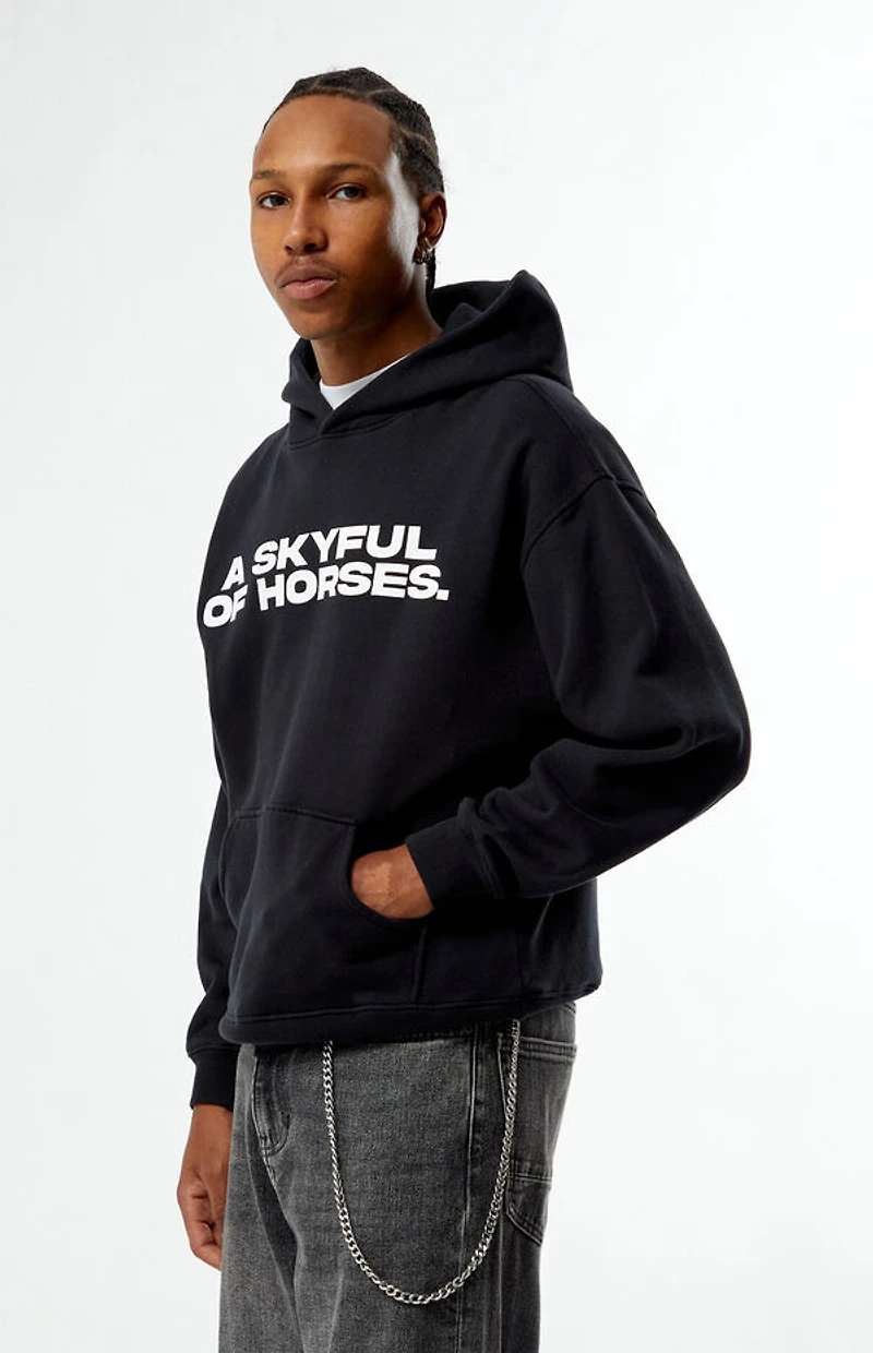 Pacsun Pac Artist Network x Randy Perez Skyful Hoodie