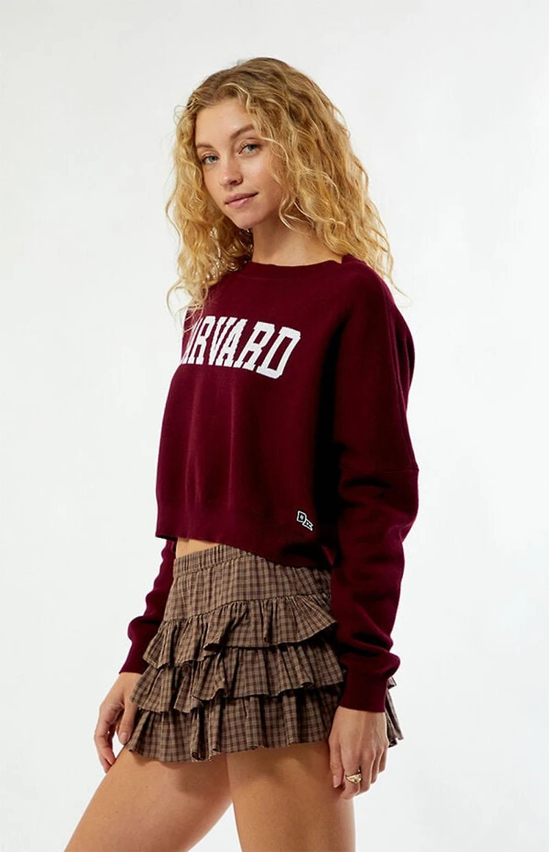 HYPE & VICE Harvard Crimson Ivy Knit Cropped Sweater