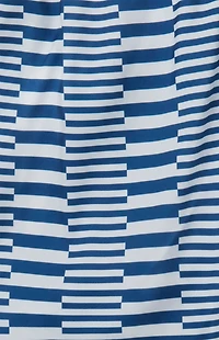 Boardies Elsa Stripe 4.5" Swim Trunks