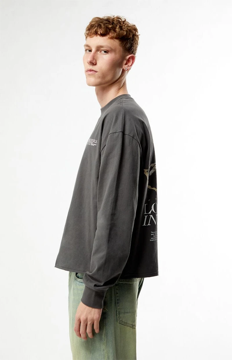 Pacsun Lost Archives Cropped Long Sleeve T-Shirt