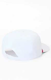 Pacsun Pabst Blue Ribbon Golf Team Snapback Hat