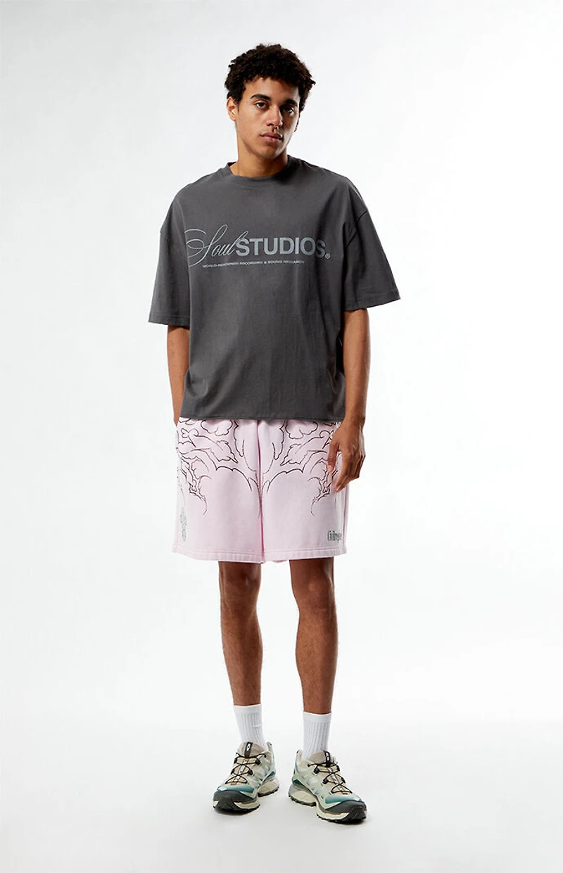 Pacsun Soul Studios Cropped Boxy T-Shirt