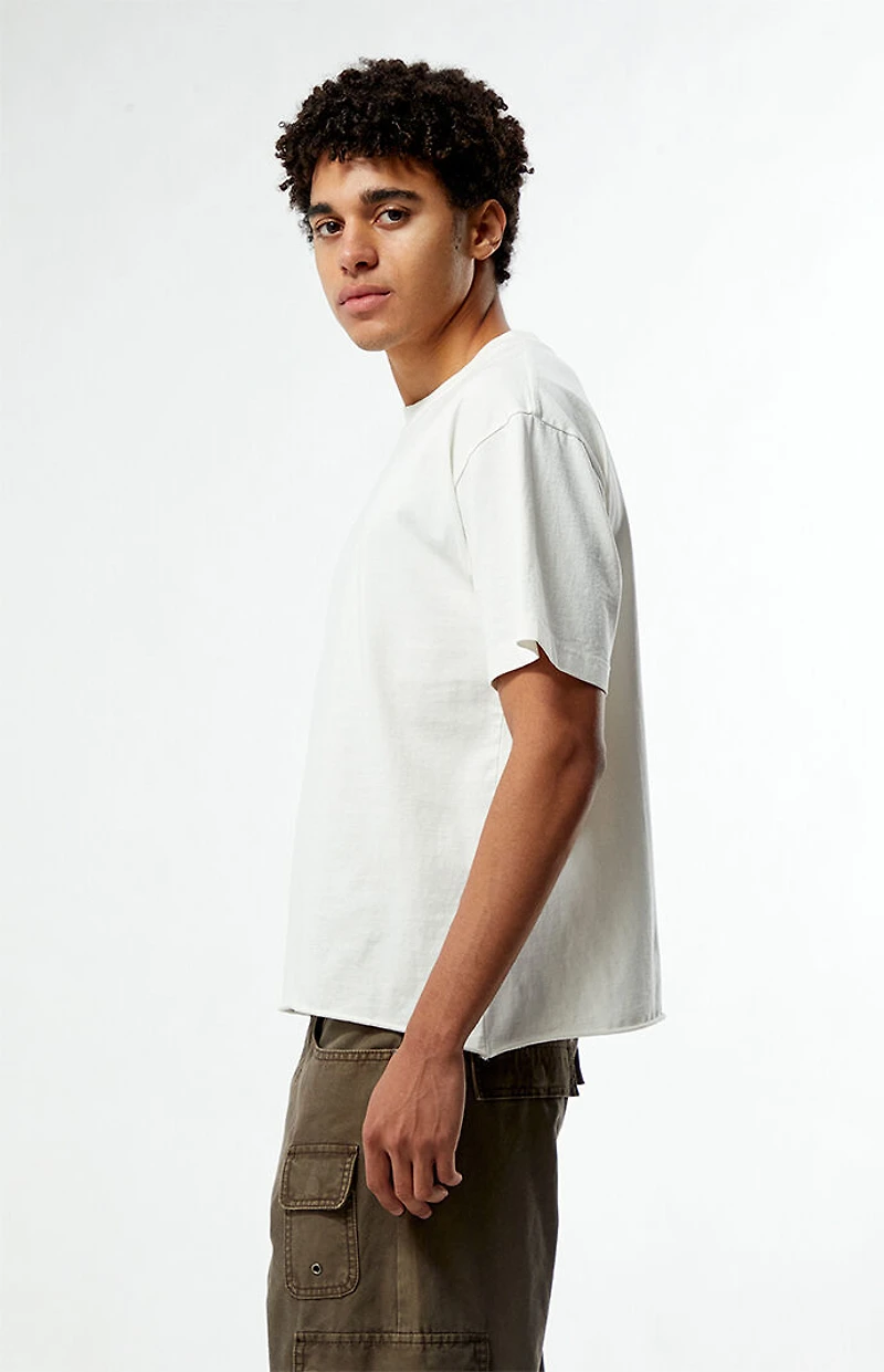 Pacsun White Premium Cropped T-Shirt