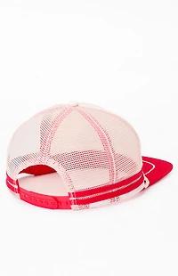 FORD FoMoCo Trucker Hat
