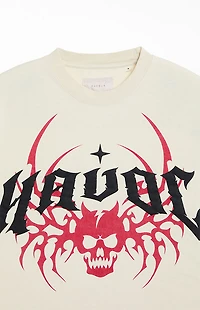 Pacsun Havoc Cropped T-Shirt