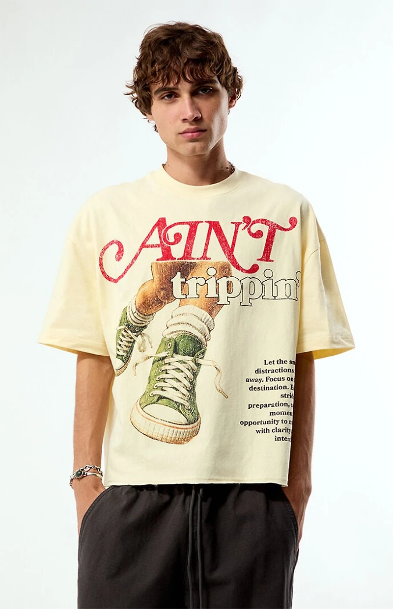 Pacsun Ain't Trippin Cropped Boxy T-Shirt