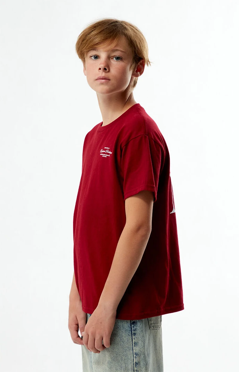 The Met x Pacsun Kids Burgundy Curatorial T-Shirt