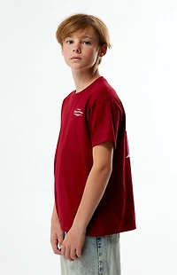 The Met x Pacsun Kids Burgundy Curatorial T-Shirt