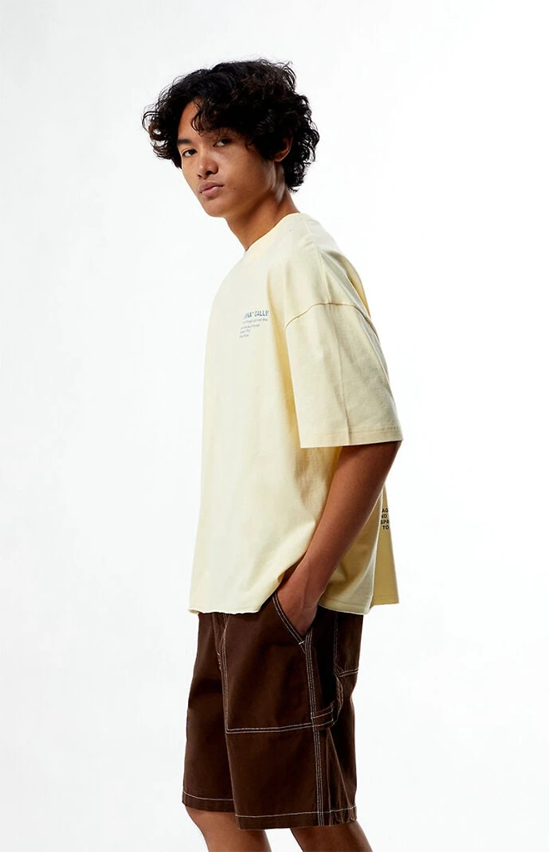 Pacsun Lumina Gallery Cropped Boxy T-Shirt