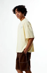 Pacsun Lumina Gallery Cropped Boxy T-Shirt