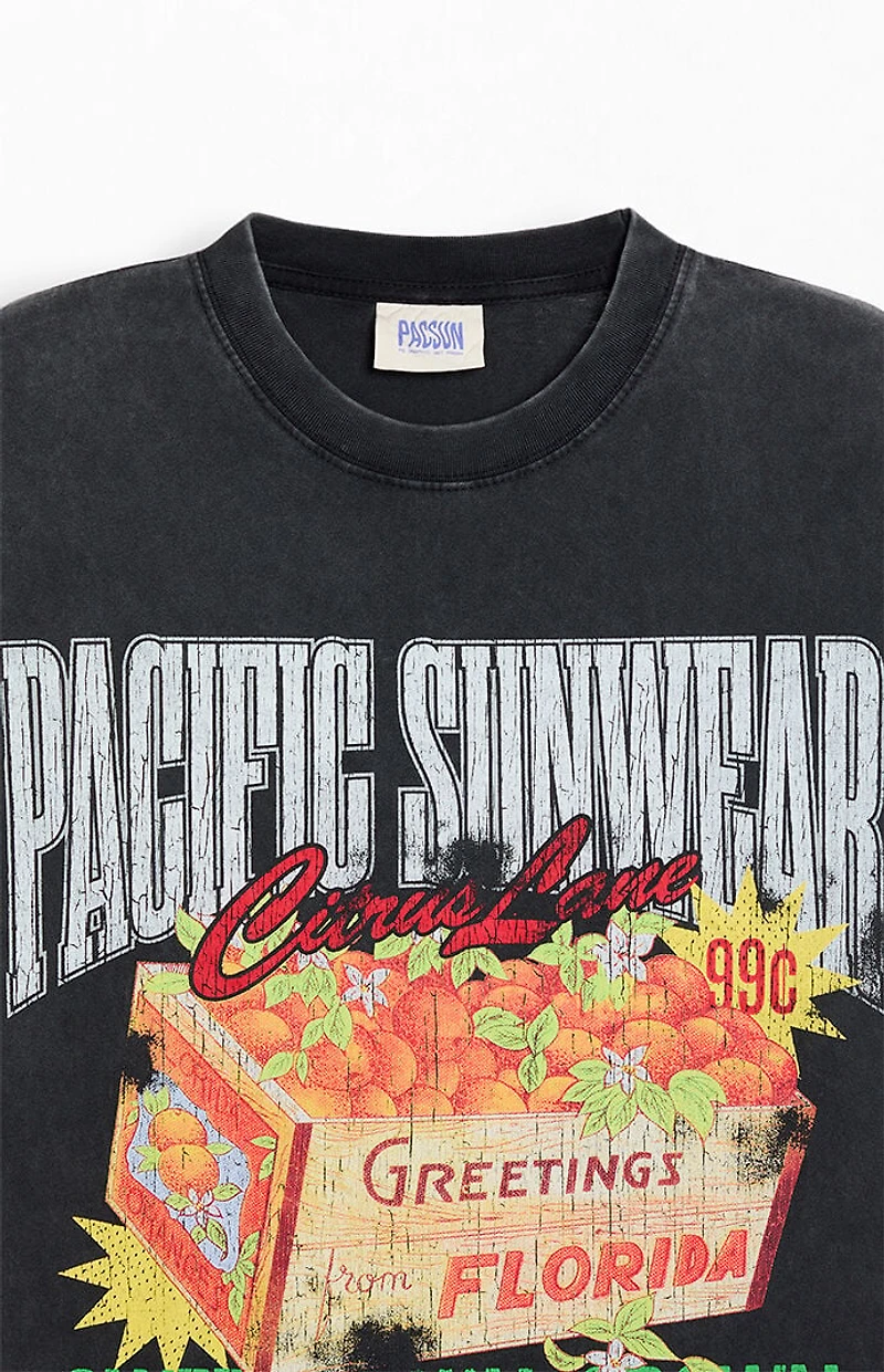 Pacsun Sweet And Sungrown T-Shirt