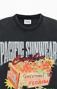 Pacsun Sweet And Sungrown T-Shirt