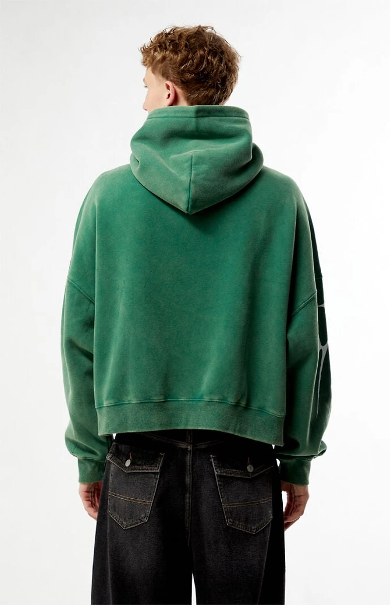 Pacsun Evolve Cropped Hoodie