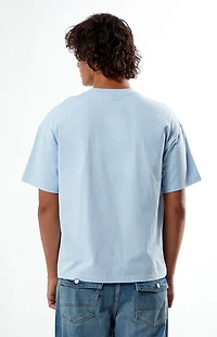 Pacsun Garden Embroidered T-Shirt